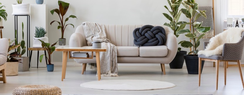 shutterstock_793829059